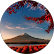 Profile-picture